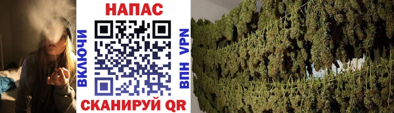 Где купить наркотики Елизаветинская Конопля  Alpha-PVP  МЕФ 