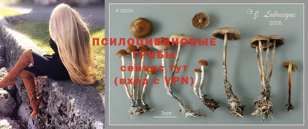молекула духа Абдулино