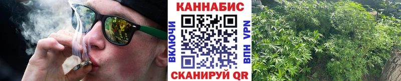 Марихуана тримм как найти KRAKEN как войти Елизаветинская